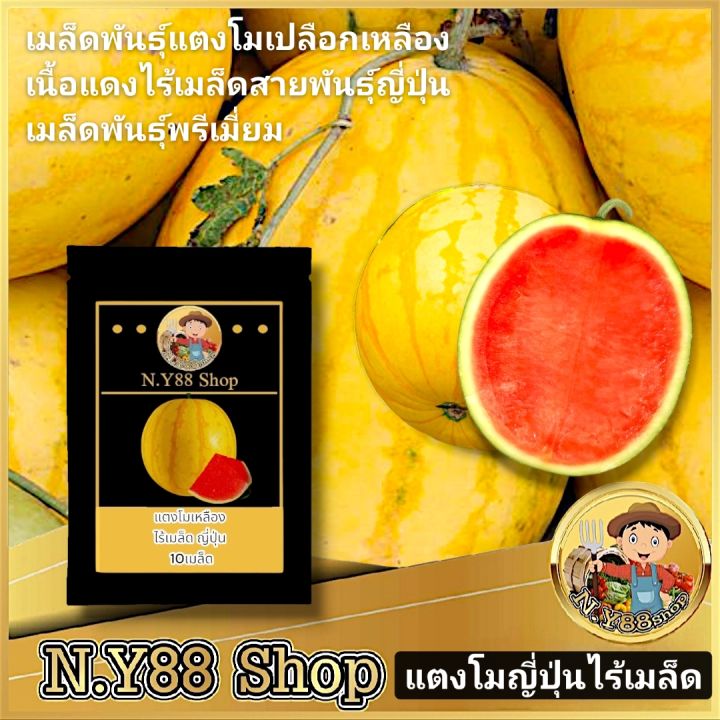 เมล็ดแตงโมญี่ปุ่นไร้เมล็ด ซันโกลว F1 เปลือกสีเหลือง เนื้อแดงสด