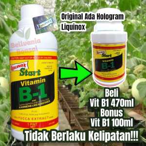 Vitamin B1 Tanaman 470ml Original Beli 1 Gratis B1 100ml