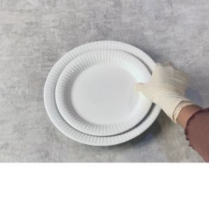 Piring Salad White Stripe HORECA 22 cm