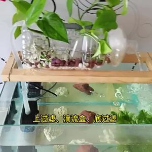Multisize Submersible Water Pump HJ‑600 Aquarium Fountain Pond Pump with Hose Fittings for Fish Tank Garden Water Circulation