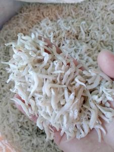 Ikan Bilis Matabiru No.1 Halus Gred 3A Inderasabah Rangup ORIGINAL SABAH