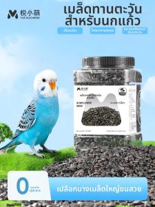 YUEXIAOMENG | Parrot Food Treats