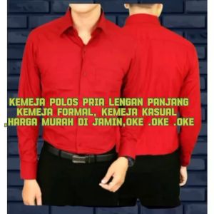 Kemeja Polos Kerja Kantoran Lengan Panjang Pria - No Iron, Dry Wash, No Bleach, No Tumble Dry