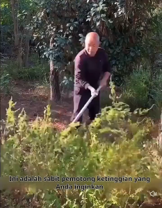 Adjustable Sabit Pisau pinang untuk memotong rumput air  memetik buah di dataran tinggi  memangkas dan memetik alat pertanian