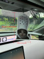 His Majesty His Majesty: Funny Cat Expression with Crocs Hat Non-Toxic Car Air Freshener (Sea Salt and Aloe Vera) Car Air Freshener, Injection Essential Oil | Continuously Exceeds 60 Days |   Car Vent Clip Scent Box Refill, Hanging, Ifra Safety Detecti.... 