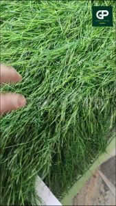 แฝกเทียม ฟางเทียมสีเขียว แบบยกม้วน กันร้อน มุงหลังคาตกแต่งสถานที ป้องกัน UV เสริมหลังตาข่าย ขนาด 1x20M. ยกม้วนคุ้มกว่า