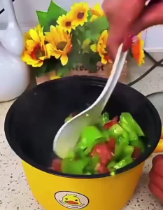 Panci Listrik Rice Cooker beras 450W Panci Kukus / Teko listrik / Kompor listrik / Panci Elektrik