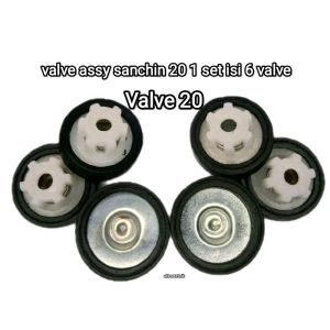 valve assy sanchin 20 1 set isi 6 valve