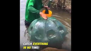 【Buy 1 Take 1】6/8/16 Holes Automatic Portable Hexagon Fishing Trap Nylon Folding Umbrella Fish Net Shrimp Cage Crab Fish Trap Cast Fish Net Shrimp Shrimp Net Cast Net Fishing Tool