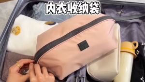 High Capacity Bra Travel Packing Portable Underwear Panties Storage Bag Socks Multifunction Belongings Organize Pouch Wholesale