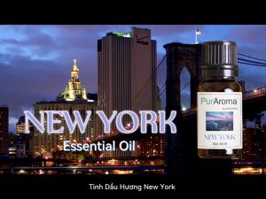(Đậm Đặc | Chai Lớn) Tinh dầu HƯƠNG NEW YORK nguyên chất PurAroma by IMMORTEL - Chính hãng Pháp