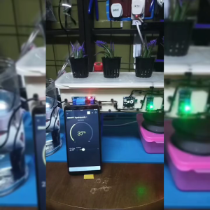 Smart Hydroponic Auto Watering Gardening ESP32 Water Sensor Water Pump WiFi Blynk OLED Display Projek Arduino DIY Kit