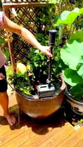 ĐÀI PHUN NƯỚC KẾT HỢP ĐÈN ÂM NƯỚC