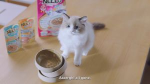 (TẶNG KÈM QUÀ) 1 thùng 48 túi - Pate Nekko cho mèo đủ vị-Nhập khẩu Thái Lan