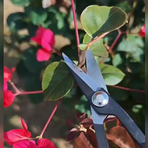 19cm Gunting Pemangkas Bonsai / Bunga Tanaman Pruning Daun Ranting