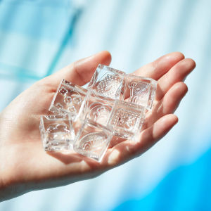 Kingjim Acrylic Ice Stamp Transparent Cute Animal Themed Desk Supplies for Bullet Journals And DIY Crafts Business Stationery