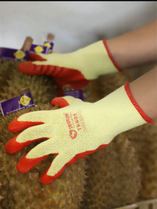 Terrain Kun | Thorn-Resistant Anti-Slip Durability Gloves for Durian