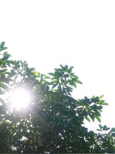 🔥Three layer thickening🔥Car Cover penutup kereta selimut Car Body Cover cover kereta 蓋車布 Outdoor Sun Waterproof Uv Protection Anti Collision Scratch High Quality for Sedan SUV Hatchback