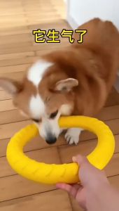 Foam Floating Pet Toy - Bite-Resistant Soft & Safe Interactive Water Play Toy for Pets | Anti-Slip Design Treat Lure Feature Ideal for Exercise Training & Swimming - Perfect for Dogs at the Beach or Pool with Various Options