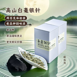 Ancient Variety Puer White Tea 200g Full Bud White Needle Silver Tips Spring Harvest from Yunnan Province High Altitude Tea