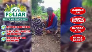 DLS 3GS SUPER FOLIAR 250ML GREEN (JAPAN TECHNOLOGY) with Instructions for Garden soil All In One Bustimulant