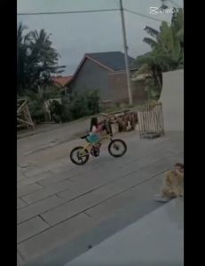 Altan Pompa Sepeda Lebih KOKOH & PANJANG BONUS ADAPTOR DAN PENTIL