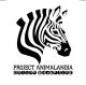 Project Animalandia Marketing