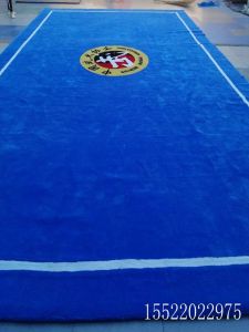 Thickened Martial Arts Carpet Non-Slip Dance Fitness Training Mat Handmade Gymnastics Taekwondo No Shedding Woolen Rug