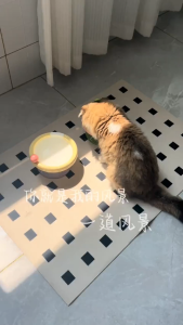 1pc blue Pet Feeding Mat Dog Cat Bowl Mat Pet Dining Tray Mat Absorbent Pet Quick Dry Absorbent pad