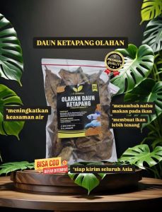 DAUN KETAPANG LAUT OLAHAN KEMASAN BESAR SUDAH DI OLAH PROSES FERMENTASI