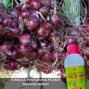 Pupuk Cair Booster Penyubur Bawang Merah / Pembesar Umbi Bawang Merah Pupuk Pelebat Bawang Merah