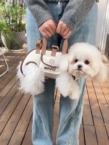 Portable Adjustable Crossbody Pet Carrier Bag for Small Dogs Cats Outdoor Travel Breathable Shoulder Strap Cartoon Design