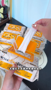 Deeyeo x Wizzpet Pets SPA Hyaluronic Acid Wipes Wet Tissue 140mm x 185mm 80 Sheets