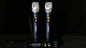 RAYHAYES Professional Wireless Microphone Rechargeable Dynamic Microphone For Karaoke