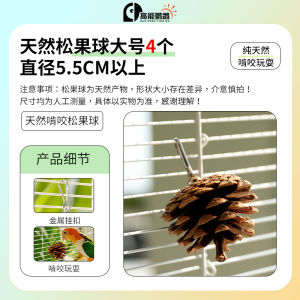 Bird Toy Teeth Grinding Pinecone Ball for Parrot Parakeet Small Bird Cage Decoration Specialized Chewing Toy for Peace of Mind