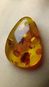 (Certificate) Natural Flower Amber Stone Pendant （证书）天然精品花珀吊坠 琥珀吊坠 漂亮花型 实物花片特闪