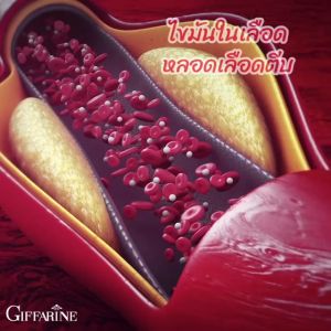 (ส่งฟรี) โคซานอล กิฟฟารีน DHA สารสกัดกรดไขมัน โอเมก้า3 ไขอ้อย ความดันโลหิตสูง