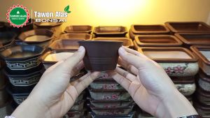 Pot Keramik Bonsai Bundar Kecil Mini Mame