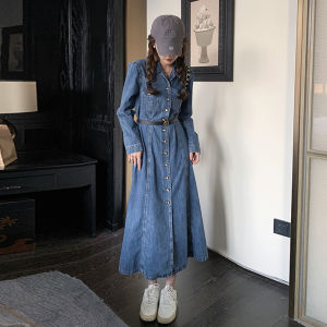 2025 Spring High Waist A-Line Dress Single Button Long Sleeve Womens Style Retro Long Dress Korean Version Commute Dress