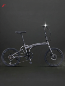 Raleigh | Portable Lightweight Folding Bicycle 20 inch