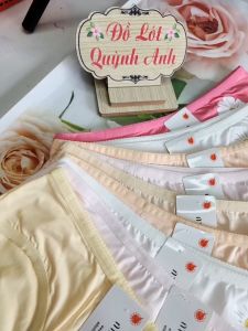 Combo 10 Quần Lót Nữ Cotton (8083) Size :45 - 57 Kgkháng khuẩn họa tiết dể thương mềm mại thoải mái đơn giản đáng yêu  - Đồ Lót Quỳnh Anh
