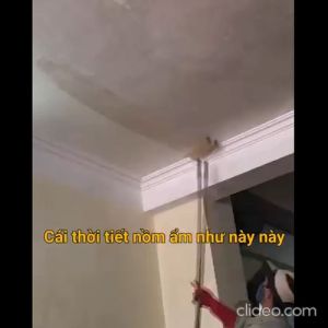 Chai Dung Dịch Dạng Xịt Tẩy Nấm Mốc AT5 Refresh Diệt 999% Vi Khuẩn 500ml - Hàng Chính Hãng Tẩy Nấm Mốc Tường Sàn Nhà Đá Hoa Tặng Khăn