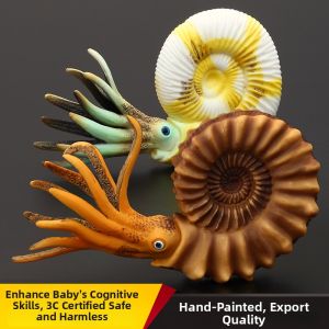 MENGSILE | Childrens Solid Replica Prehistoric Animals Model Cambrian Period Nautilus Ammonite