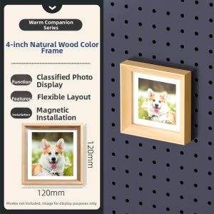 Wall Mounted Display Shelf Organizer