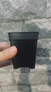 Chậu nhựa cứng 7x8 Vuông  chậu vuông mini  chậu ươm hạt  xương rồng  sen đá !