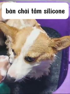 Bàn Chải Tắm Cho Chó Mèo Bằng Silicon Mềm Mại Có Chỗ Đựng Sữa Tắm Tạo Bọt