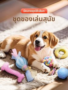 VOA | Dental Chewing Sound-Producing Interactive Dog Toy for Small Dogs