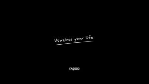 Rapoo N100 / N200 Wired Optical Mouse (1600 DPI)