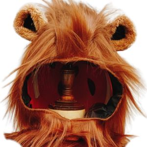 Halloween Cosp Kids Lion Long Hair Lion King Costume Wizard of Oz Gall Animal Costume Childrens Costume