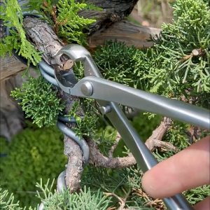 Catok Bonsai Cembung 21cm Knob Cutter/Mirring Cutter Baja Tahan Karat Penuh Catut Cembung Tanaman Bonsai Alat Pemodelan Bonsai Gunting Tang Bola Tang Berkebun Gunting Retouching QXF